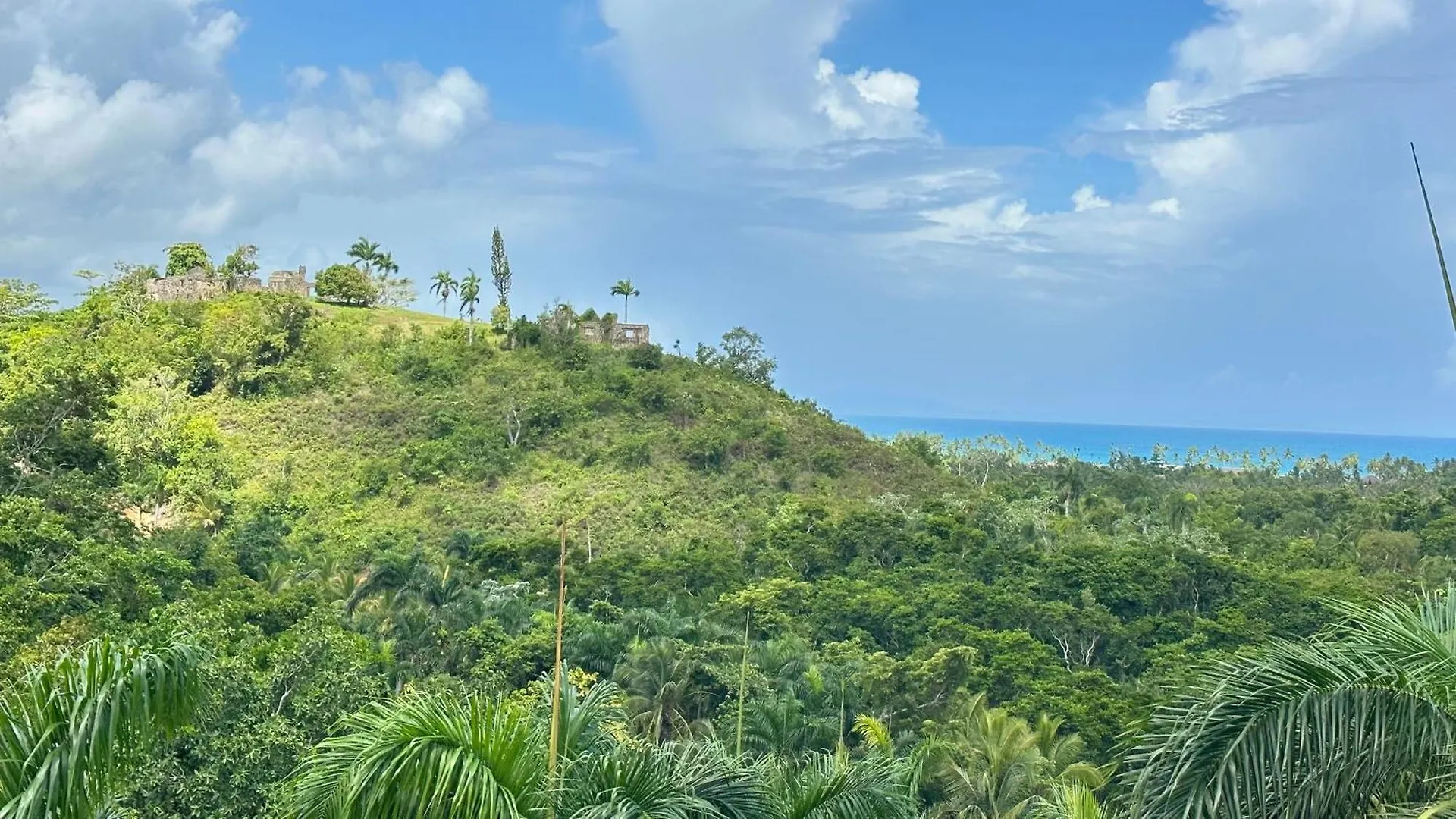 All-New Zen Apartment With Treetops And Ocean Views ! Las Terrenas 0*,
