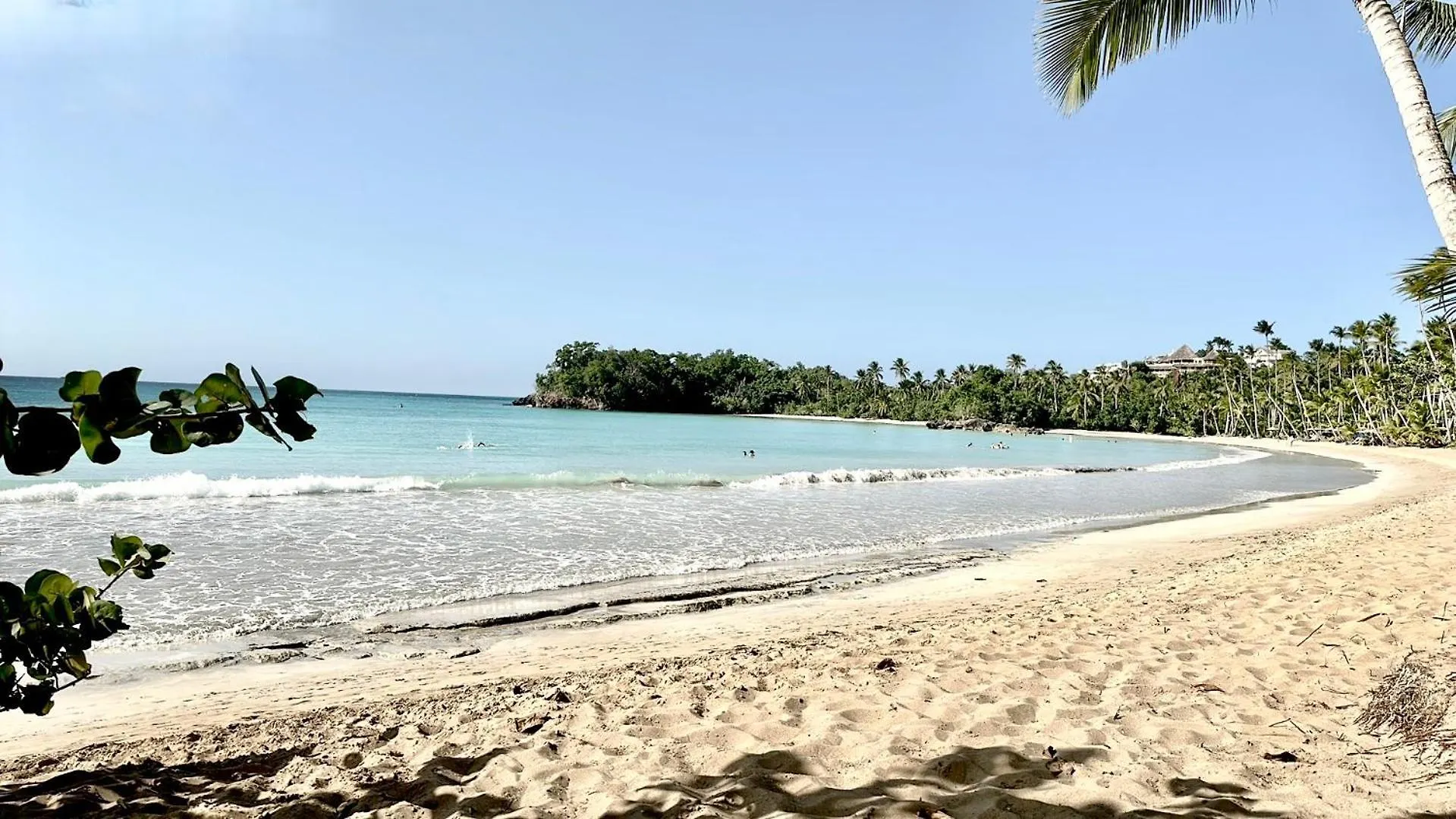 All-New Zen Apartment With Treetops And Ocean Views ! Las Terrenas